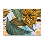 Monstera Palm Leaves Plants Sticker A4 (10 pack)