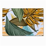 Monstera Palm Leaves Plants Postcard 4 x 6  (Pkg of 10)