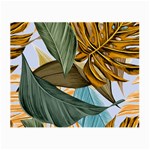 Monstera Palm Leaves Plants Small Glasses Cloth