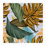 Monstera Palm Leaves Plants Medium Glasses Cloth