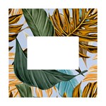 Monstera Palm Leaves Plants White Box Photo Frame 4  x 6 