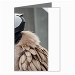 Digital Rebel 6 Greeting Cards (Pkg of 8)