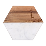 Trees Forest Path Marble Wood Coaster (Hexagon) 