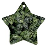 Leaves Foliage Botany Plant Star Ornament (Two Sides)