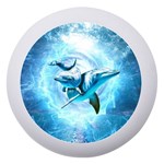 Dolphin Blue Sea Fantasy Dento Box with Mirror