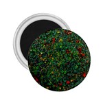 Grass Nature Meadow 2.25  Magnets