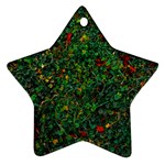 Grass Nature Meadow Ornament (Star)