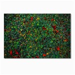 Grass Nature Meadow Postcard 4 x 6  (Pkg of 10)