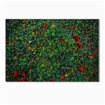 Grass Nature Meadow Postcards 5  x 7  (Pkg of 10)