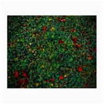 Grass Nature Meadow Small Glasses Cloth