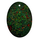 Grass Nature Meadow Oval Ornament (Two Sides)