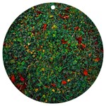 Grass Nature Meadow UV Print Acrylic Ornament Round