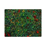 Grass Nature Meadow Premium Plush Fleece Blanket (Mini)