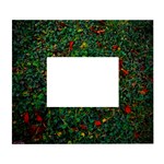 Grass Nature Meadow White Wall Photo Frame 5  x 7 