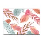 Feathers, Boho, Cute, Feather, Pastel Sticker A4 (10 pack)