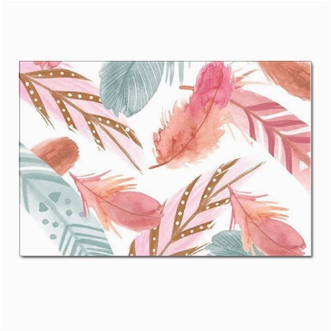 Feathers, Boho, Cute, Feather, Pastel Postcard 4 x 6  (Pkg of 10) from ArtsNow.com Front