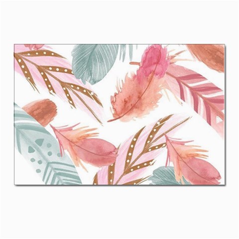 Feathers, Boho, Cute, Feather, Pastel Postcards 5  x 7  (Pkg of 10) from ArtsNow.com Front