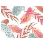 Feathers, Boho, Cute, Feather, Pastel Two Sides Premium Plush Fleece Blanket (Baby Size)