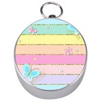 Pastel, Butterfly, Spring, Stripes, Silver Compasses