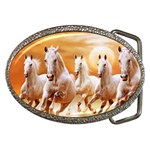 Seven Horses, Sun Belt Buckles