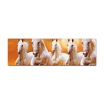 Seven Horses, Sun Sticker (Bumper)