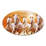 Seven Horses, Sun Oval Magnet