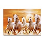 Seven Horses, Sun Sticker A4 (10 pack)