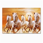 Seven Horses, Sun Postcard 4 x 6  (Pkg of 10)