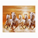 Seven Horses, Sun Small Glasses Cloth