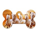 Seven Horses, Sun Dog Tag Bone (One Side)