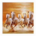 Seven Horses, Sun Medium Glasses Cloth