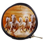 Seven Horses, Sun Mini Makeup Bag