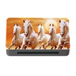 Seven Horses, Sun Memory Card Reader with CF