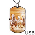 Seven Horses, Sun Dog Tag USB Flash (One Side)