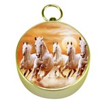 Seven Horses, Sun Gold Compasses