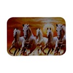 Seven Horses, Sun Open Lid Metal Box (Silver)  