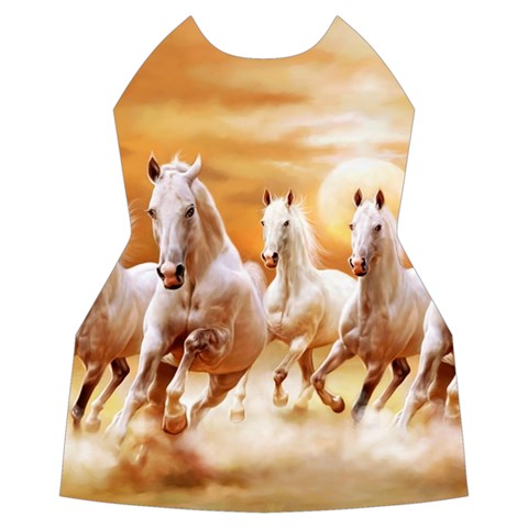 Seven Horses, Sun Women s Long Sleeve Raglan T Front