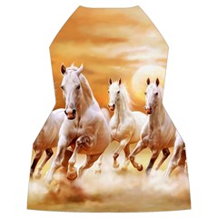 Seven Horses, Sun Women s Long Sleeve Raglan T Back