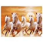 Seven Horses, Sun Two Sides Premium Plush Fleece Blanket (Baby Size)