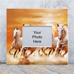 Seven Horses, Sun White Wall Photo Frame 5  x 7 