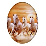 Seven Horses, Sun Oval Glass Fridge Magnet (4 pack)