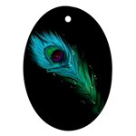 Shree Krishna, Feather, Lord, Rainbows Ornament (Oval)