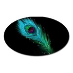 Shree Krishna, Feather, Lord, Rainbows Oval Magnet