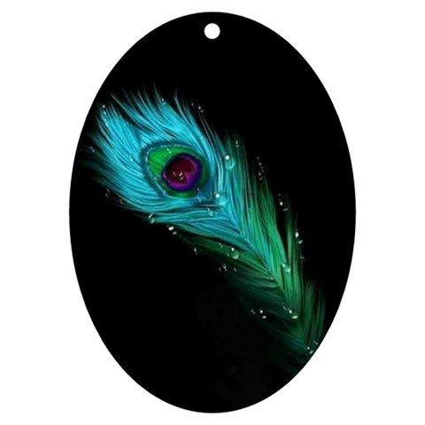 Shree Krishna, Feather, Lord, Rainbows UV Print Acrylic Ornament Oval from ArtsNow.com Front