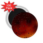 Water Drops, Lui, Amazing 2.25  Magnets (100 pack) 