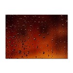 Water Drops, Lui, Amazing Sticker A4 (100 pack)