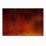 Water Drops, Lui, Amazing Postcard 4 x 6  (Pkg of 10)