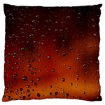 Water Drops, Lui, Amazing Standard Premium Plush Fleece Cushion Case (One Side)