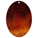 Water Drops, Lui, Amazing UV Print Acrylic Ornament Oval