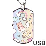 Usheen Carebears, Bears, Cat, Colorful, Cute, Pastel, Pattern Dog Tag USB Flash (One Side)